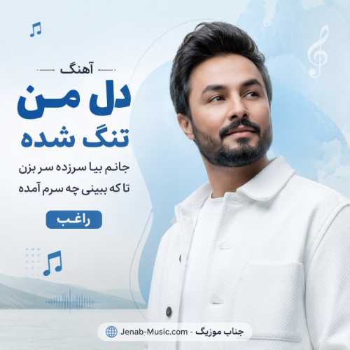 آهنگ دل من تنگ شده جانم بیا سرزده سر بزن تا که ببینی چه سرم آمده راغب