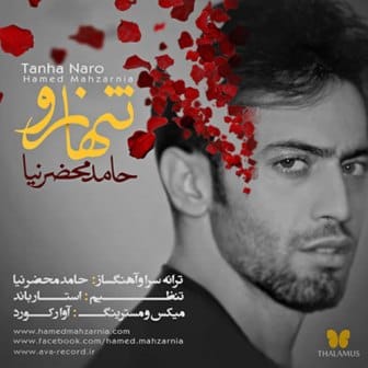 دانلود آهنگ جدید حامد محضرنیا به نام تنها نرو