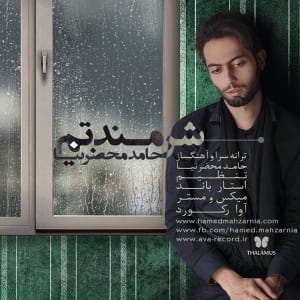 دانلود آهنگ جدید حامد محضر نیا به نام شرمندتم