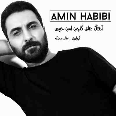 گلچین آهنگ های امین حبیبی