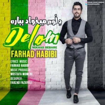 عکس کاور آهنگ جدید فرهاد حبیبی به نام دلوم میخواد بباره عکس جدید فرهاد حبیبی