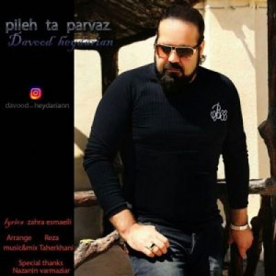 عکس کاور آهنگ جدید داوود حیدریان به نام پیله تا پرواز عکس جدید داوود حیدریان