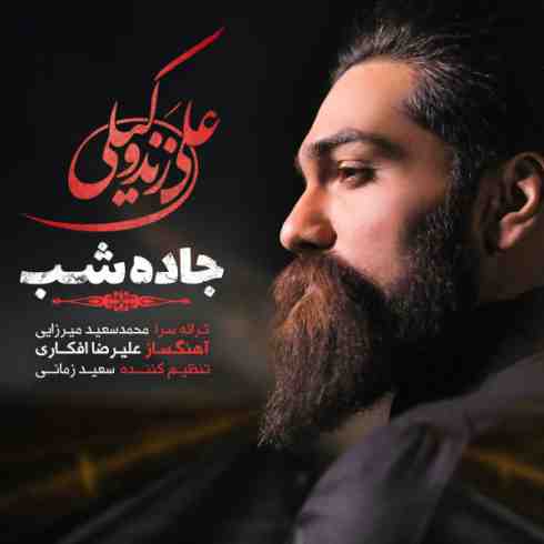 عکس کاور آهنگ جدید علی زند وکیلی به نام جاده شب عکس جدید علی زند وکیلی