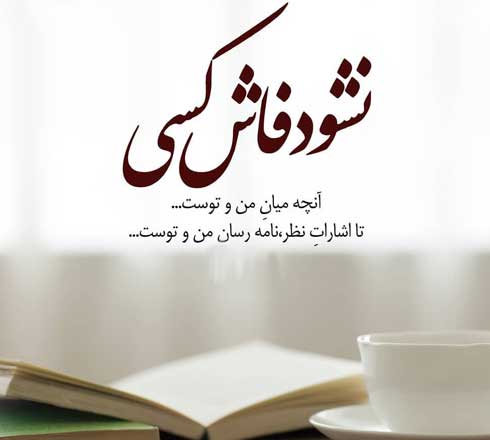 نشود فاش کسی