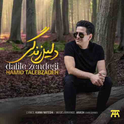 عکس کاور آهنگ جدید حمید طالب زاده به نام دلیل زندگی عکس جدید حمید طالب زاده