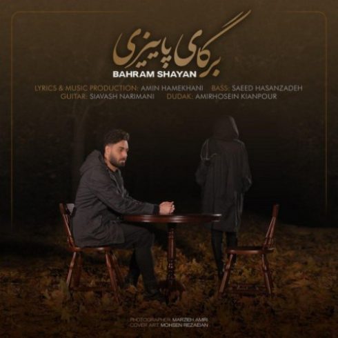 دانلود آهنگ جدید بهرام شایان به نام برگای پاییزی / کیفیت اورجینال 320