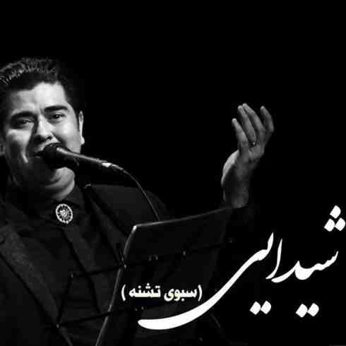 دانلود آهنگ جدید سالار عقیلی به نام شیدایی / کیفیت اورجینال 320