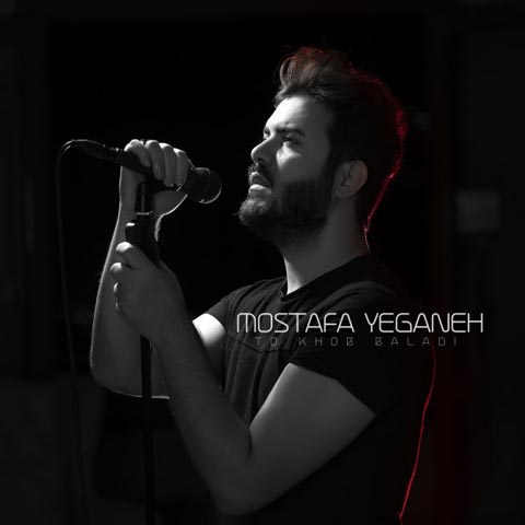 دانلود آهنگ مصطفی یگانه به نام تو خوب بلدی (با کیفیت اصلی) MP3