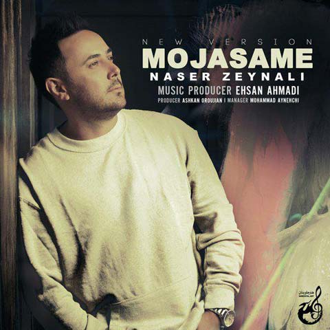 دانلود آهنگ ناصر زینعلی به نام مجسمه (با کیفیت اصلی) MP3