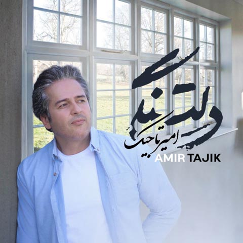 دانلود آهنگ امیر تاجیک دلتنگی (کیفیت اصلی + پخش آنلاین)