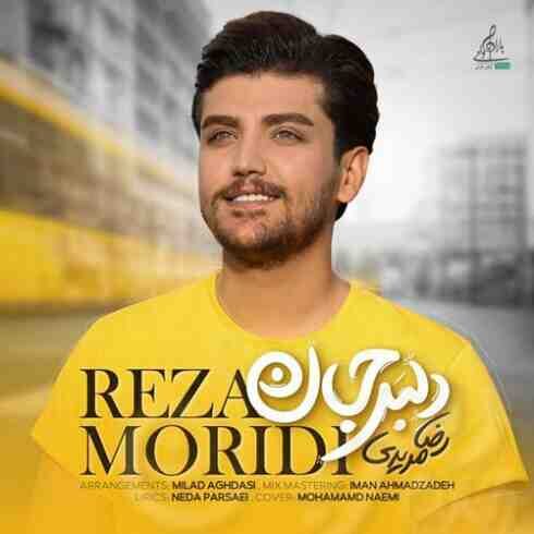 دانلود آهنگ رضا مریدی دلبر جان (کیفیت اصلی + متن) MP3