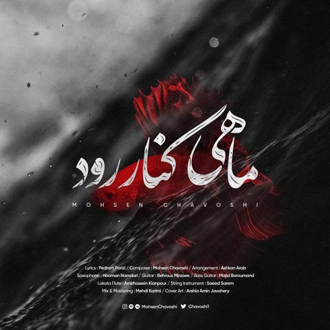 دانلود آهنگ جدید محسن چاوشی به نام ماهی کنار رود / کیفیت اورجینال 320