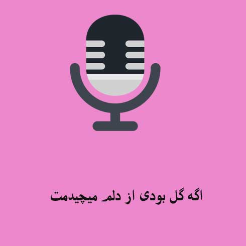 اگه گل بودی از دلم میچیدمت