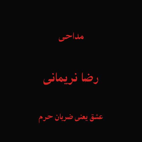 عشق یعنی ضربان حرم