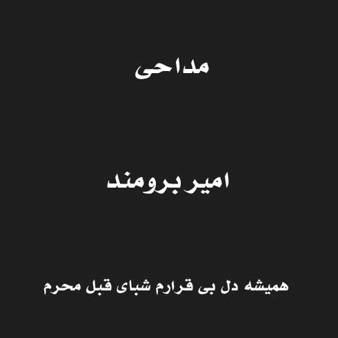 همیشه دل بی قرارم شبای قبل محرم