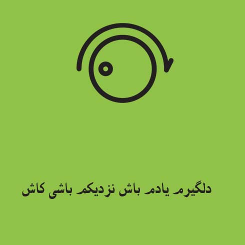 دلگیرم یادم باش نزدیکم باشی کاش