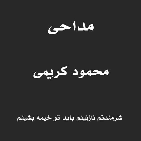 شرمندتم نازنینم باید تو خیمه بشینم