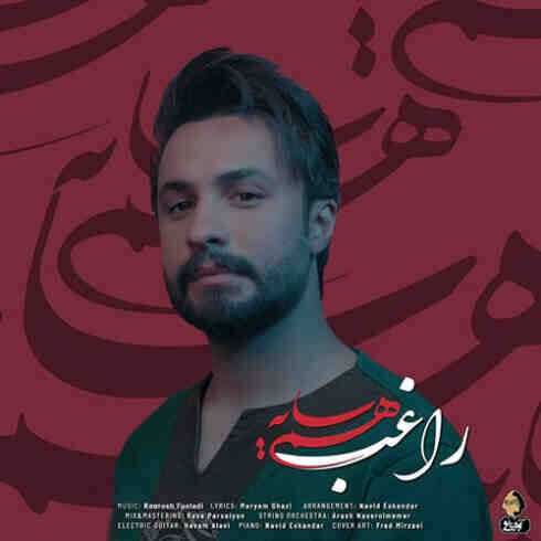 دانلود آهنگ راغب هم سایه (کیفیت اصلی + پخش آنلاین)