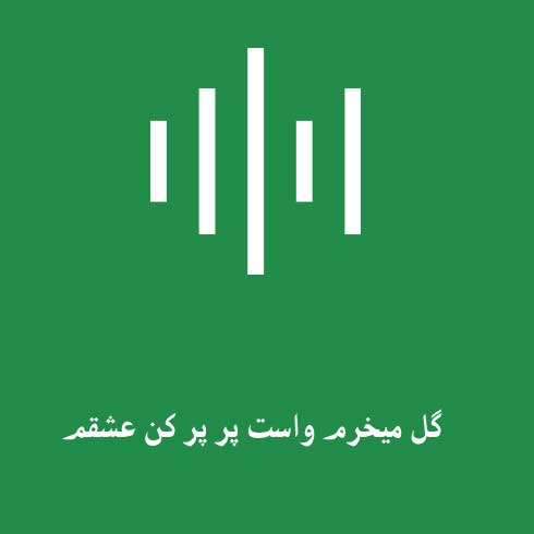 گل میخرم واست پر پر کن عشقم