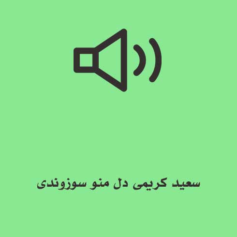 سعید کریمی دل منو سوزوندی