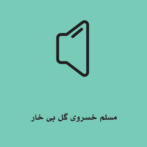 مسلم خسروی گل بی خار