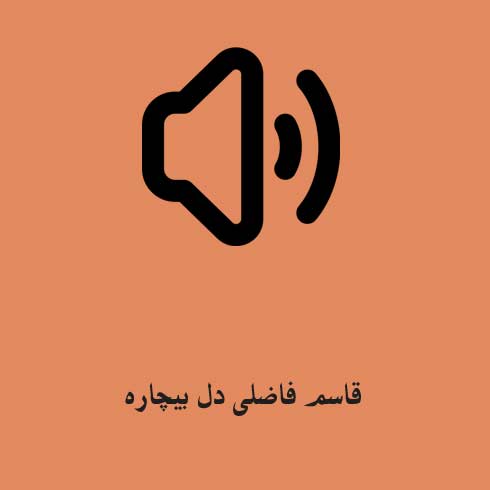 قاسم فاضلی دل بیچاره