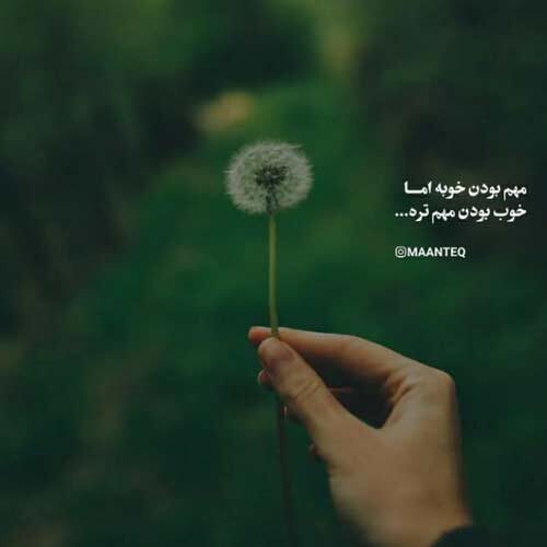 اهنگ علی علی تو به ولله تمام منی محسن چاوشی