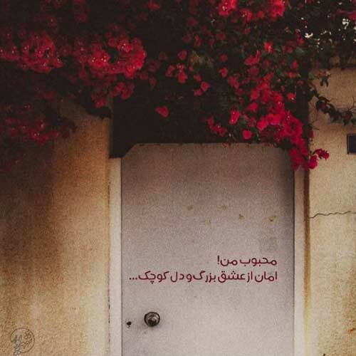 اهنگ اقا موسی الرضا بوم ته قربون حسین رضایی