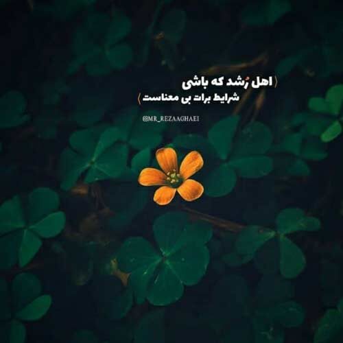 اهنگ دنبالت دنیا رو من گشتم رفته بی برگشتم