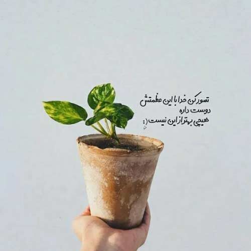 اهنگ نشد برای عشقمون برای این دیوانه ات سفر کنی
