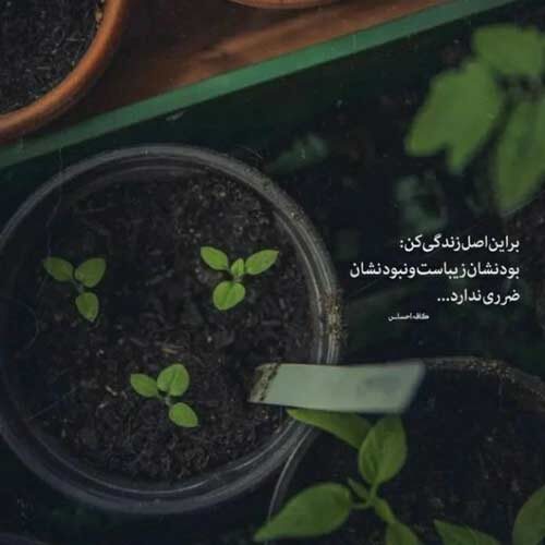 اهنگ مست کردم وه یادم بچی عرفان پند