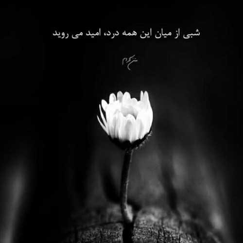 اهنگ باز داره بارون میزنه یعنی چطوره حالت مسعود صادقلو
