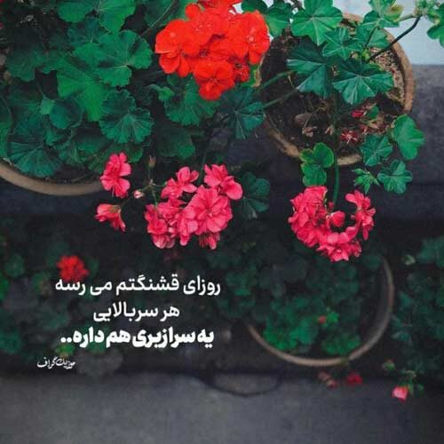 اهنگ امشب خونمون بله برونه امشب خونمون شیرینی خورونه