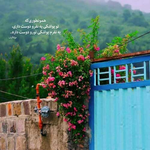 اهنگ ای دل دیگه بال و پر نداری علیرضا افتخاری
