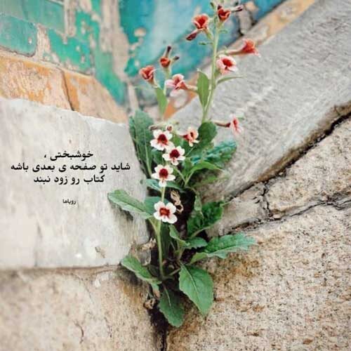 اهنگ آدمک آخر دنیاست بخند آرش نظم خواه