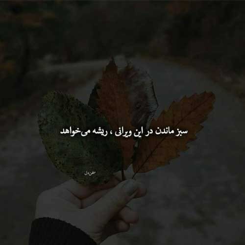 اهنگ نگاه استیل گنگو