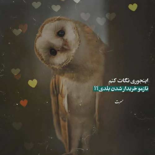 اهنگ الا دختر که موهای تو بور ای یار محمد حشمتی