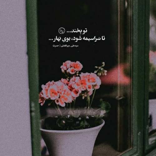 اهنگ همه جمع شده اند دور تو امشب افشار