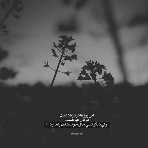 اهنگ باب دلمی بس که تو رو خوب کشیدن