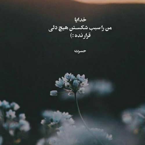 اهنگ گل پونه های وحشی دشت امیدم پویا بیاتی