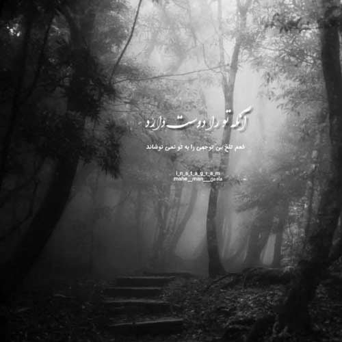 اهنگ میشه من حرف دلم رو بگم تو نری محمدرضا رهنما
