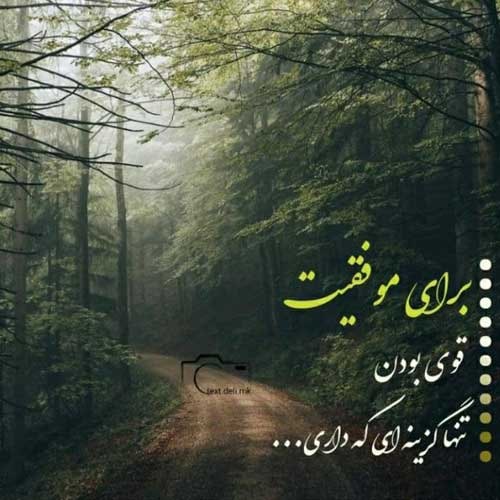 اهنگ مطرب عشق عجب ساز و نوایی دارد
