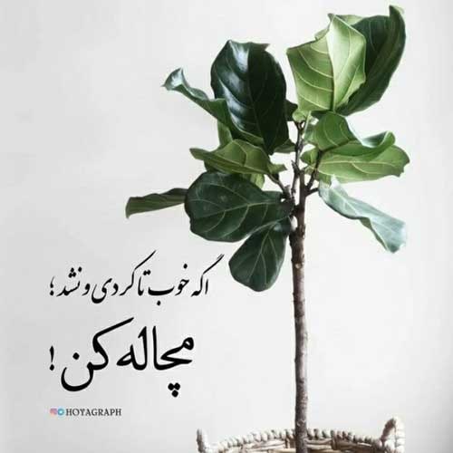 اهنگ رفیق شیشمی چون همیشه پیشمی