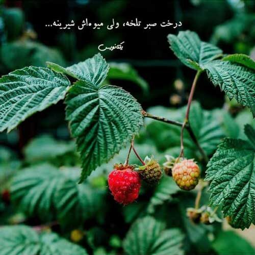 اهنگ بزنیم بیرون حالو هوا عوض کنیم مرتضی اشرفی