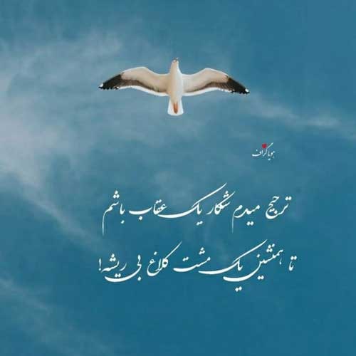 اهنگ دلبرم دیوانه وار شدم عاشق نگات کسری زاهدی MP3