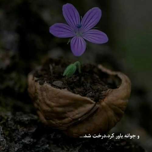 اهنگ زمستون تنم دستای گرمتو میخواد سجاد فرهادی