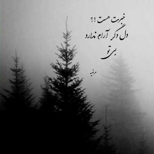 اهنگ تاج سرم کم نشه سایت الهی از سرم علی حمزه