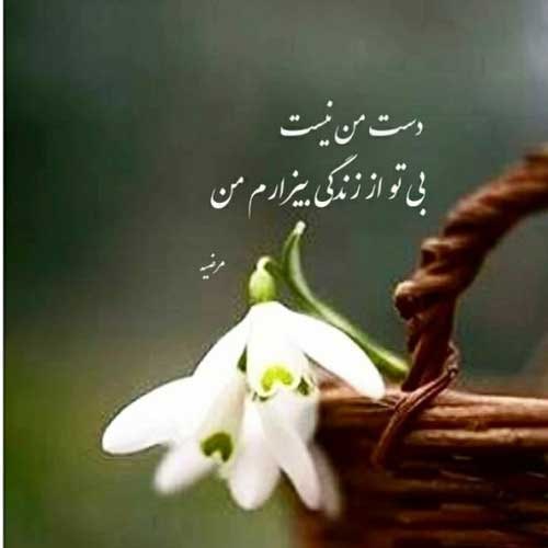 اهنگ اگه دنیامون یه جهنمه من ازت معذرت میخوام