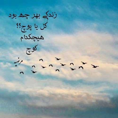 اهنگ دلبر بوردی من شورو شر بیمه مصطفی حسینی