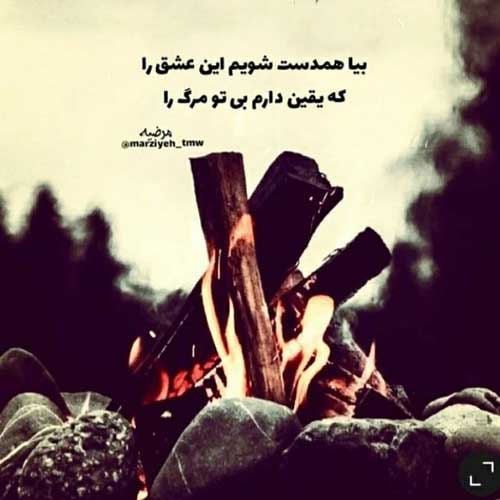 اهنگ من خوشم میاد ازت مثل خودم اهل دلی ناصر زینعلی